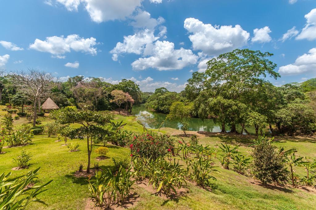 Dream Valley Belize Teakettle Village エクステリア 写真