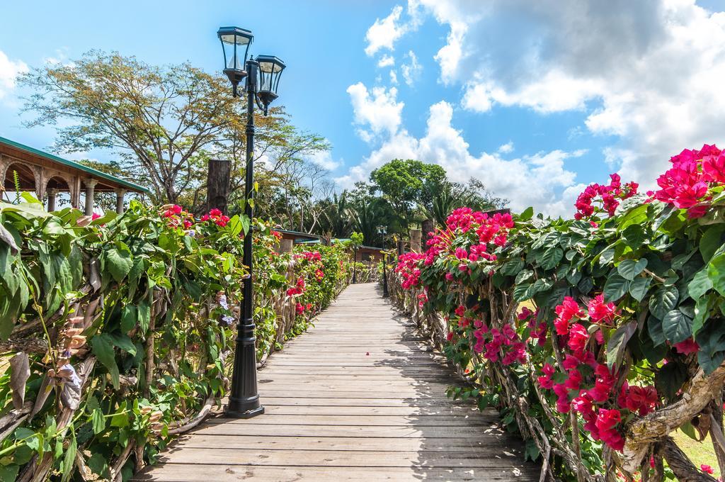 Dream Valley Belize Teakettle Village エクステリア 写真