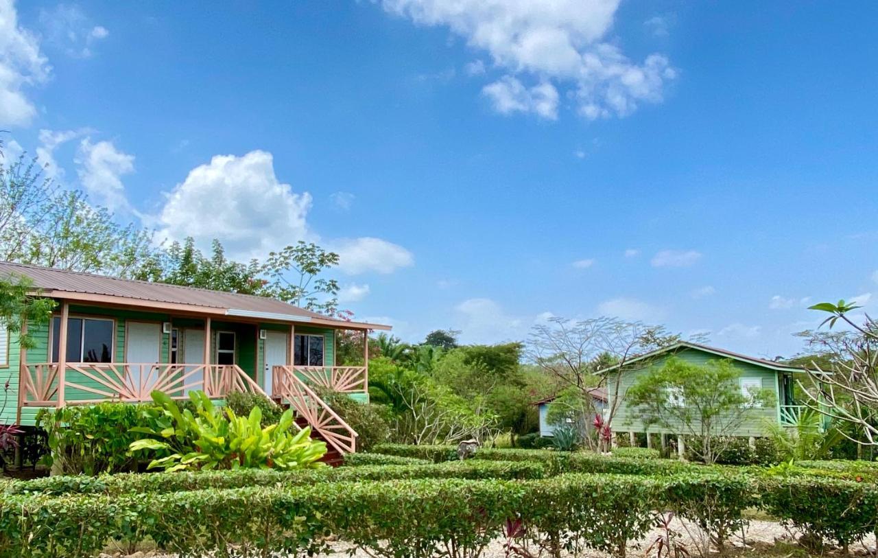 Dream Valley Belize Teakettle Village エクステリア 写真
