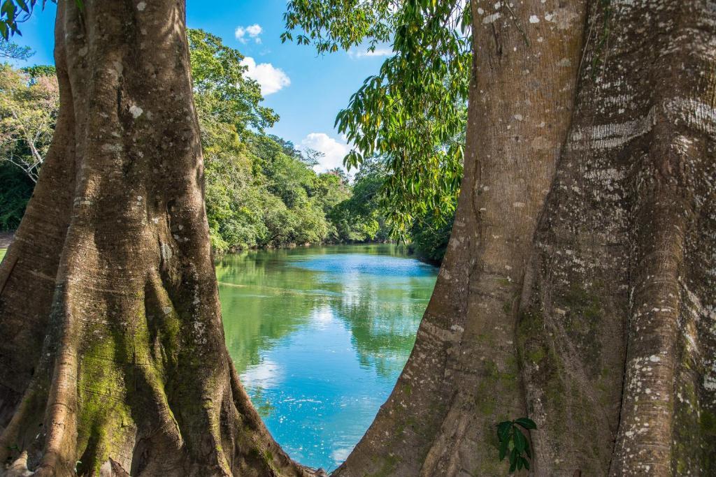 Dream Valley Belize Teakettle Village エクステリア 写真