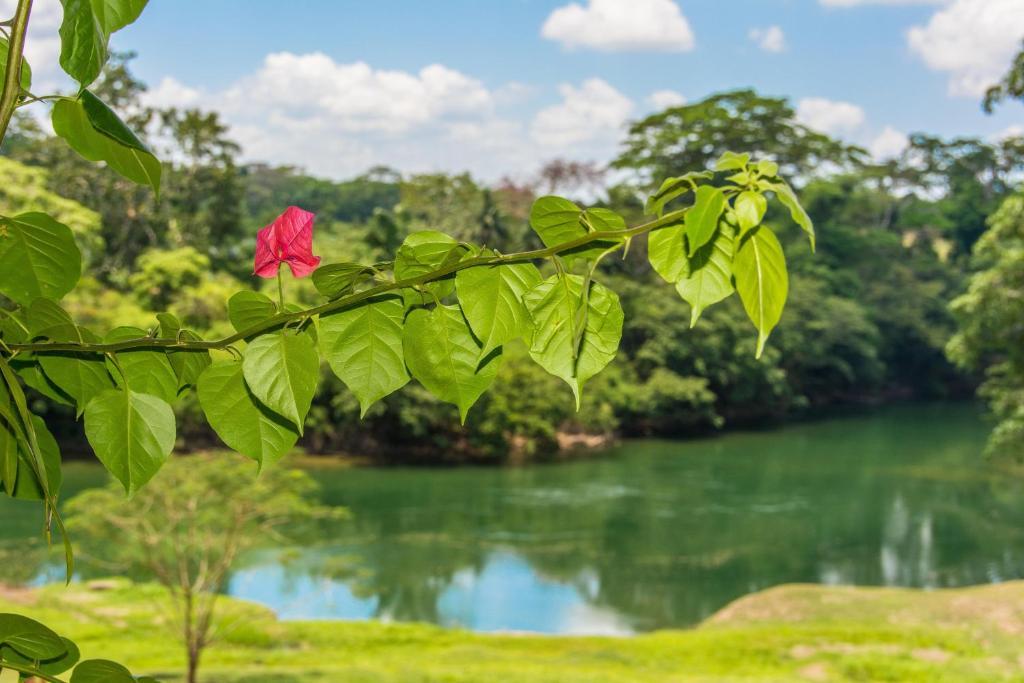 Dream Valley Belize Teakettle Village エクステリア 写真